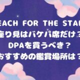 reach for the stars座り見はバケパ席だけ？DPAを買うべき？おすすめの鑑賞場所は？