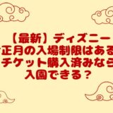 【最新】ディズニーお正月の入場制限はある？チケット購入済みなら入園できる？