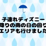 子連れディズニー土砂降りの雨の日の回り方！新エリアも行けました♪