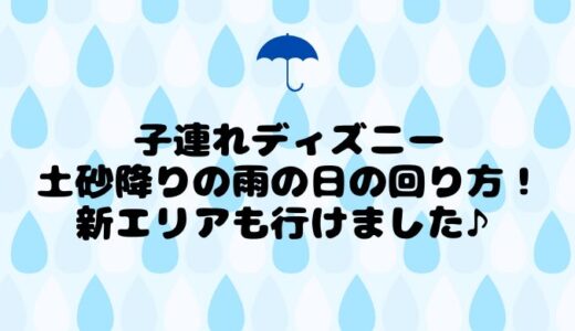 子連れディズニー土砂降りの雨の日の回り方！新エリアも行けました♪