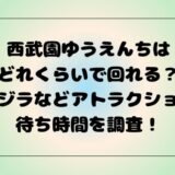 西武園ゆうえんちはどれくらいで回れる？ゴジラなどアトラクション待ち時間を調査！