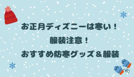 お正月ディズニーは寒い！服装注意！おすすめ防寒グッズ＆服装