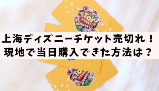 上海ディズニーチケット売切れ！現地で当日購入できた方法は？